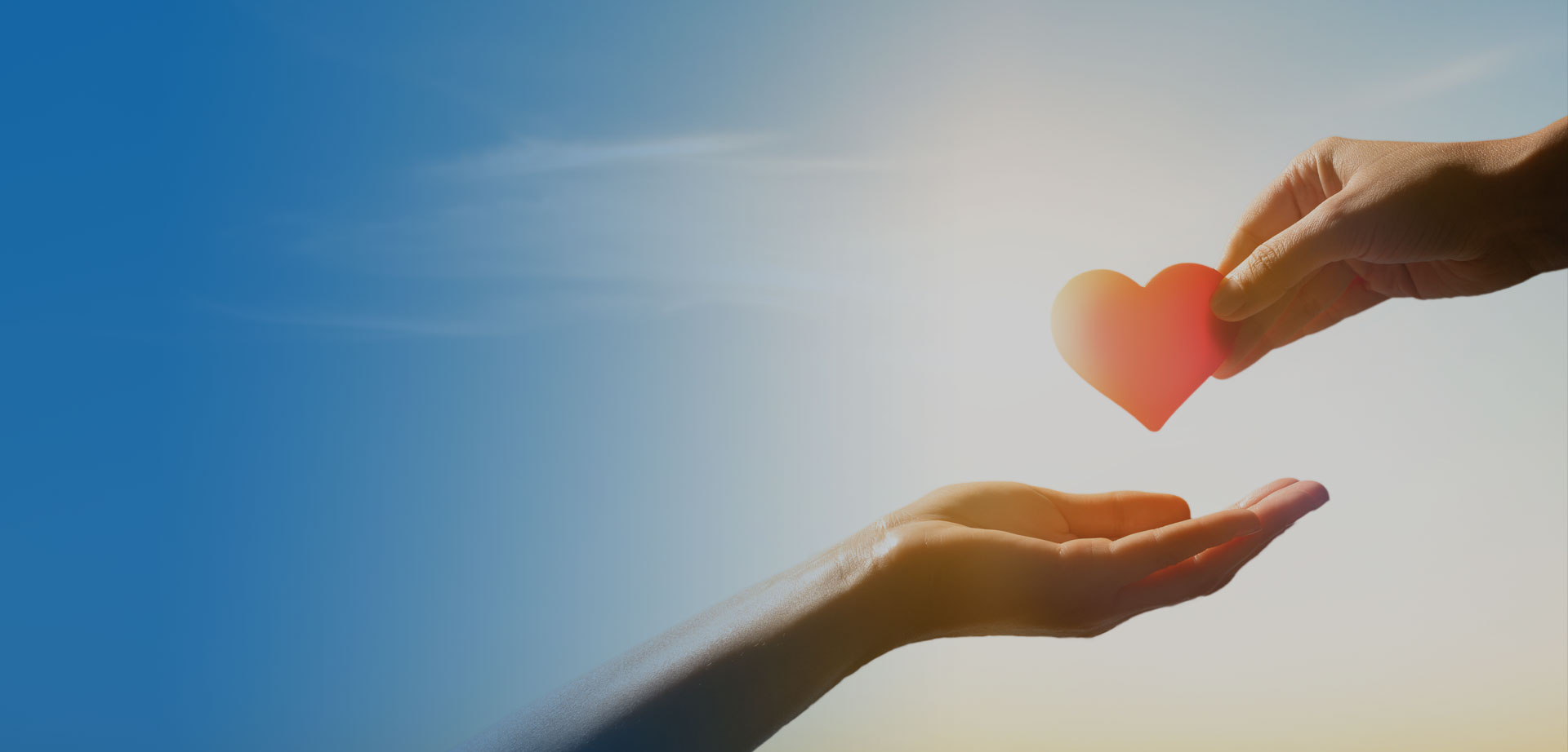 做令人信赖的<br/>全球化医疗事业集团11